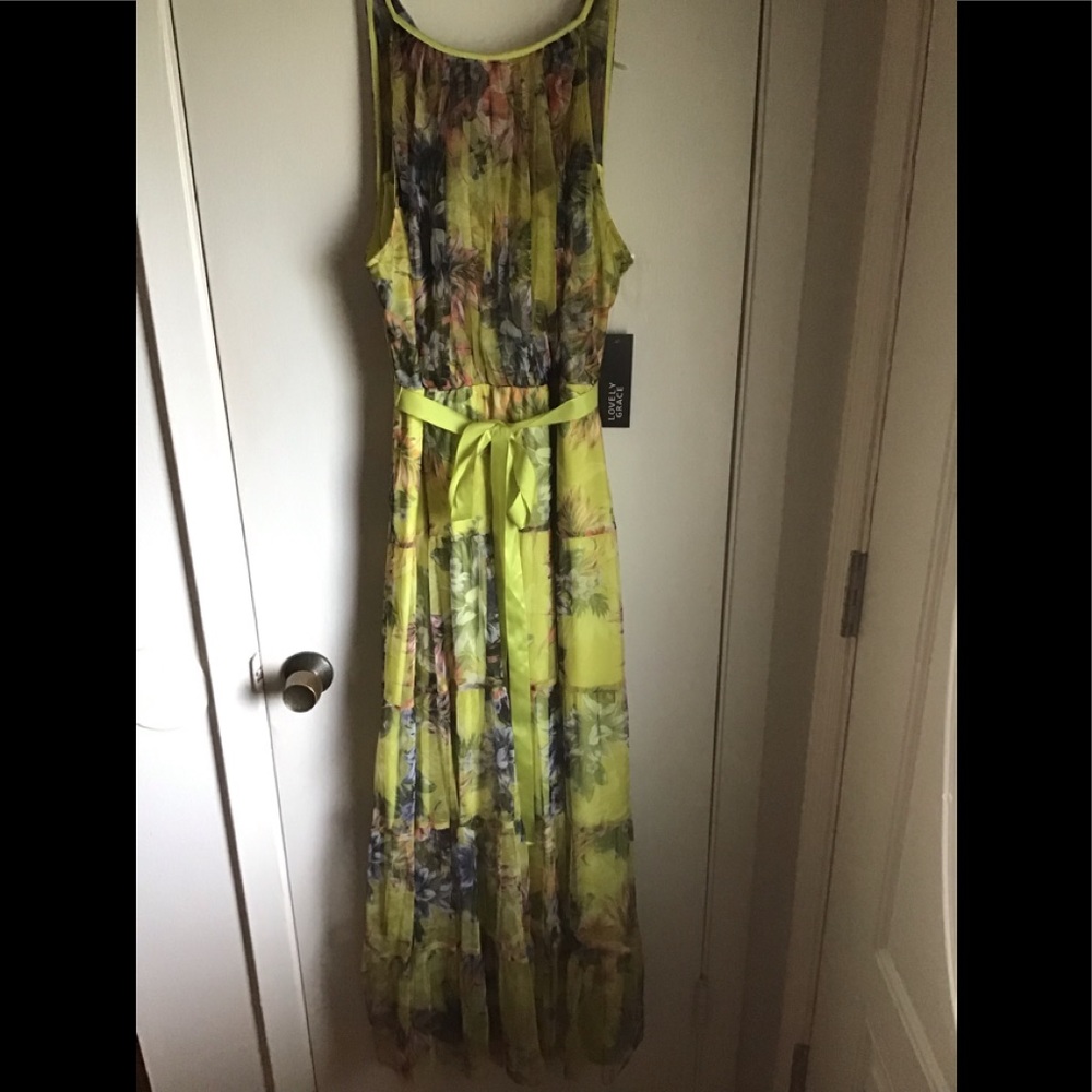 Beautiful lined Maxi Dress